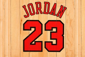 开云体育网页版-斯瓦泰克再度夺冠，女子网坛无可撼动，斯瓦泰克正手动作详解