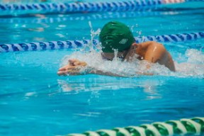 开云体育下载官网-张家齐和陈芋汐争夺跳水金牌，焦点之战，张家齐陈芋汐夺金颁奖典礼